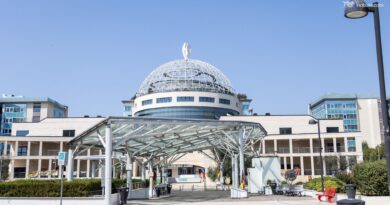 Scambio provette, impiantato l'embrione sbagliato al San Raffaele. Stop alla fecondazione assistita