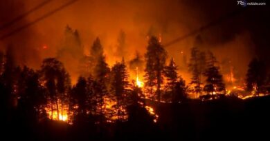 Fiamme imponenti si ergono verso l'alto: l'incendio di Bald Range divampa in Canada