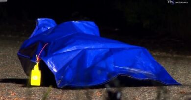 "Cadavere nella valigia", ma è soltanto una sex doll: archiviata l'indagine per omicidio
