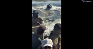 L'ippopotamo affamato insegue una barca carica di turisti: il video shock della fuga sul lago