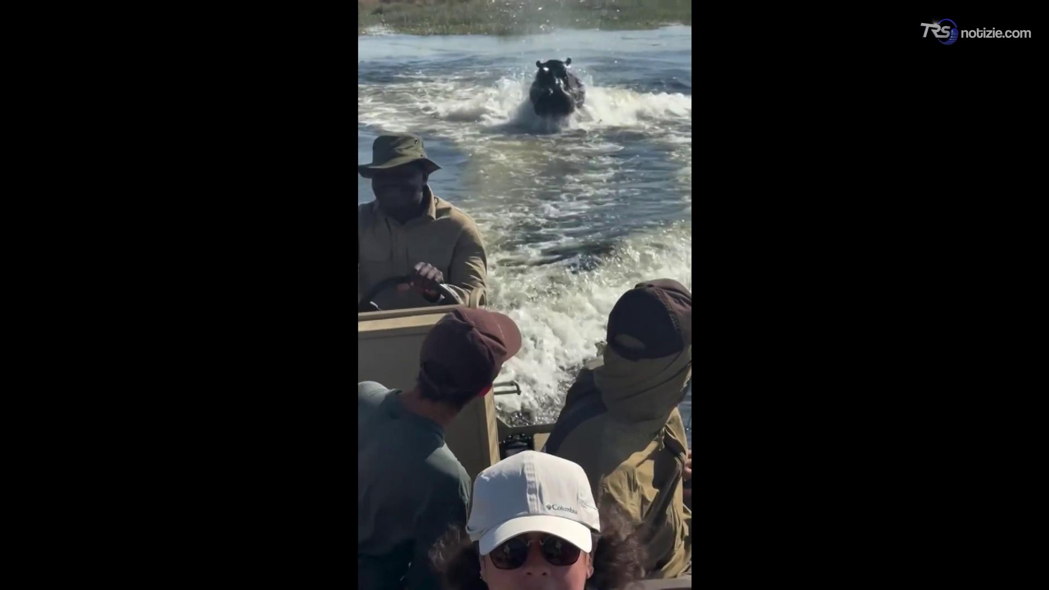 L'ippopotamo affamato insegue una barca carica di turisti: il video shock della fuga sul lago