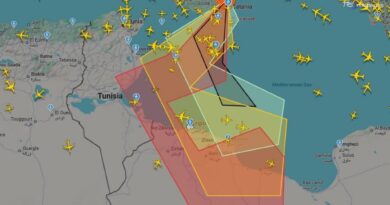 Nuova bocca eruttiva dell'Etna alla base della Valle del Bove