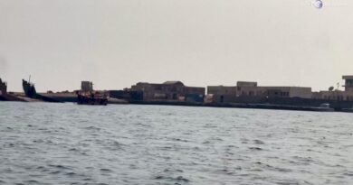 Usa sparano su nave nel Golfo di Oman