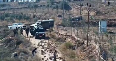 Coloni attaccano case in Cisgiordania, arriva l'esercito israeliano ma esita - Video