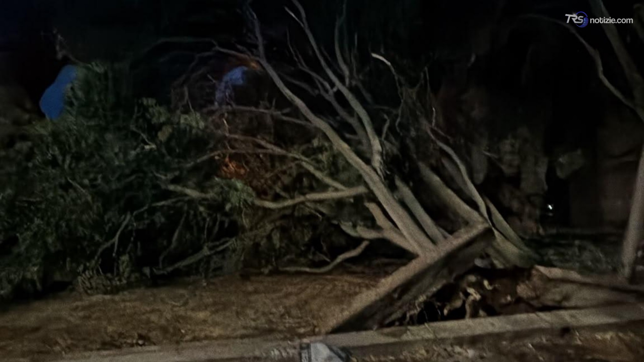 La pioggia dopo l'afa: a Roma alberi caduti tra Torpignattara e Alessandrino