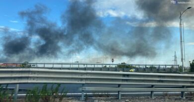 Incendi: rogo a Piana del Sole, chiusa la Roma-Fiumicino. Disagi anche sui treni regionali