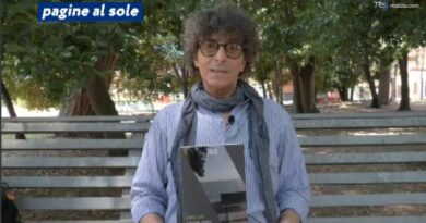 "L'ultima estate di un uomo perbene" di Carmelo Sardo