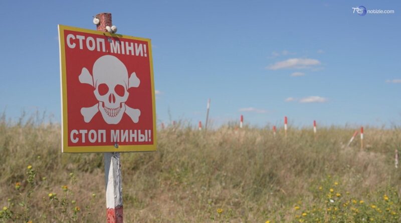 Nuova crisi del grano, si coltiva sui campi sminati