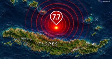 Terremoto di magnitudo 7.7 in Indonesia orientale: l'Agenzia sismologica lancia l'allerta tsunami