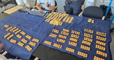 Monete e lingotti d'oro: il tesoro scoperto dentro il muro di una cantina