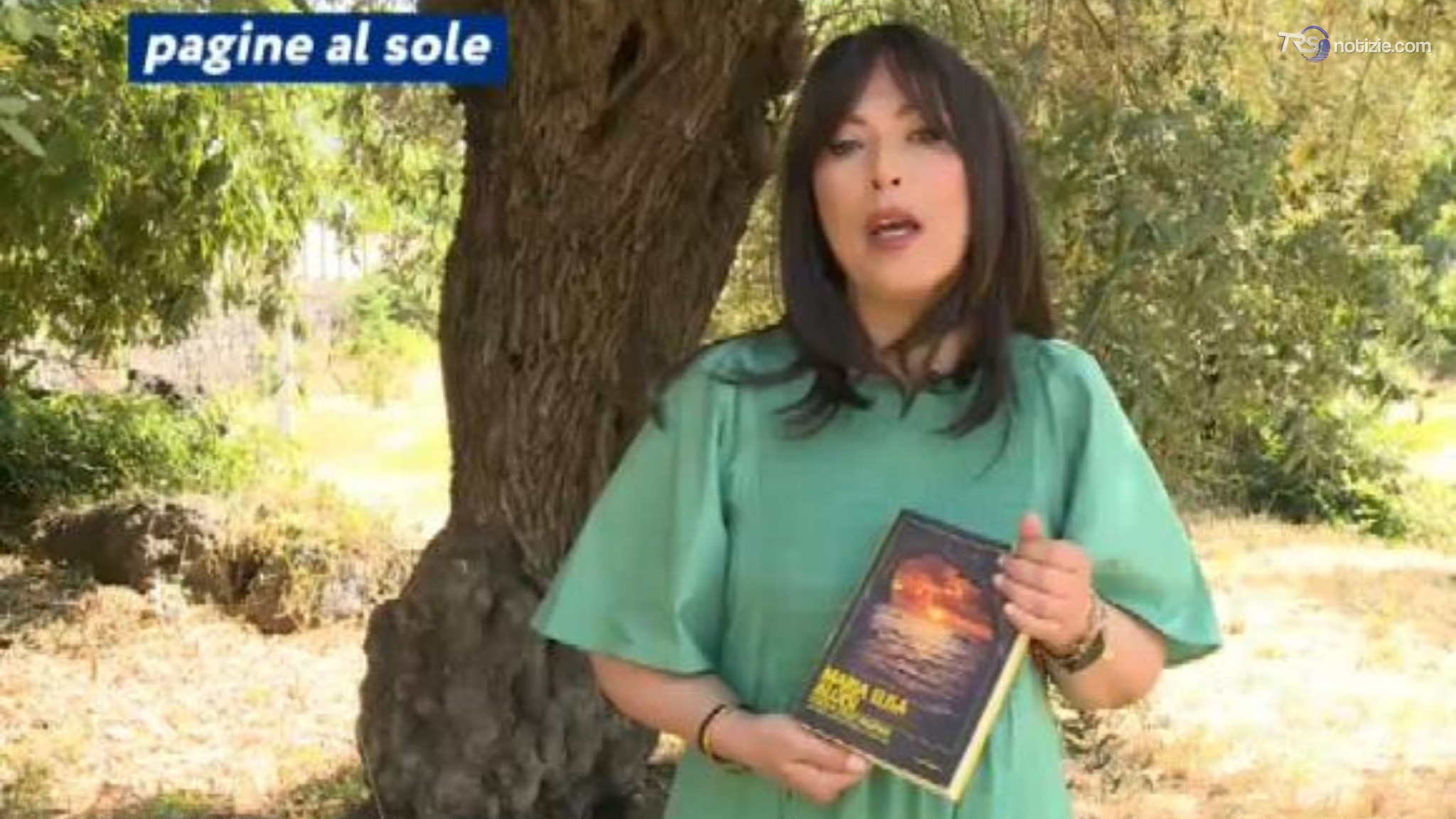 Maria Elisa Aloisi: "L'isola degli inganni"