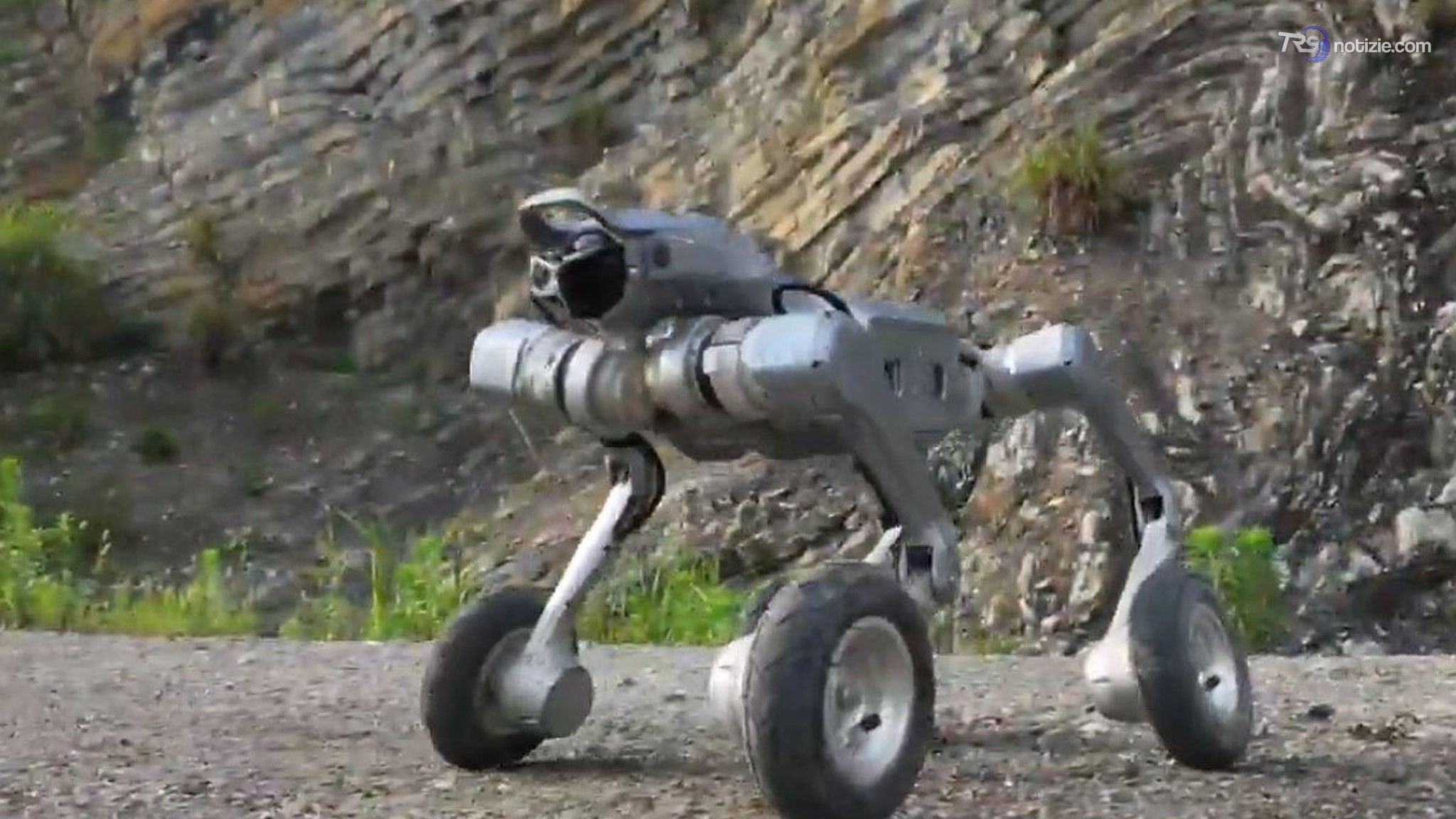 La corsa del robot-atleta che resiste all'acqua e carica 16 chili