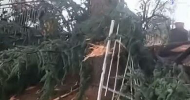 Maltempo di Ferragosto: alberi sulle strade di Spigno Monferrato: nubifragio ad Alessandria