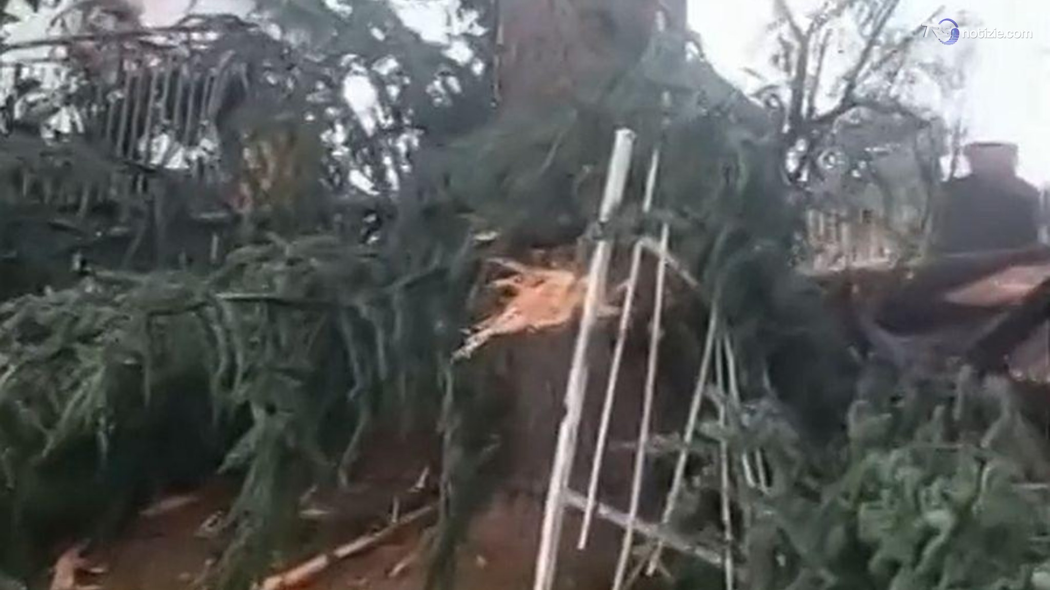 Maltempo di Ferragosto: alberi sulle strade di Spigno Monferrato: nubifragio ad Alessandria