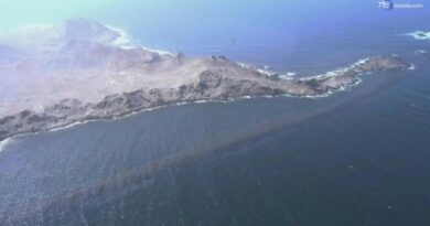 Chiazza di petrolio di 390 km quadrati minaccia le coste dell'Oman: immagini aeree