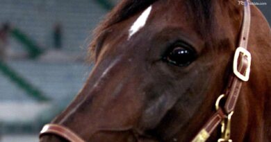Addio a Varenne, trottatore-leggenda