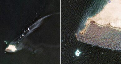 Petroliera incagliata in Oman, la marea nera si allarga: le immagini dal satellite