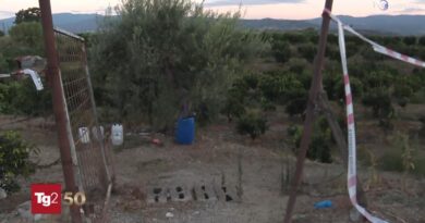 Ritrovata morta nell'agrumeto, Carmela Bifano sarebbe stata uccisa dal marito