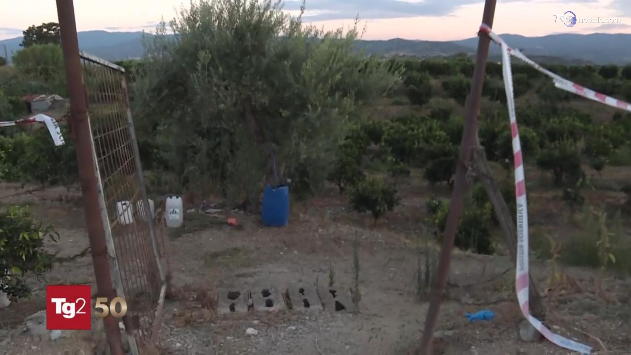 Ritrovata morta nell'agrumeto, Carmela Bifano sarebbe stata uccisa dal marito