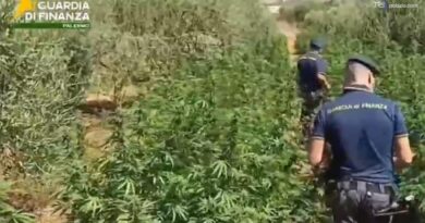 Sequestrati 400 kg di marijuana per un valore di oltre 2 milioni di euro