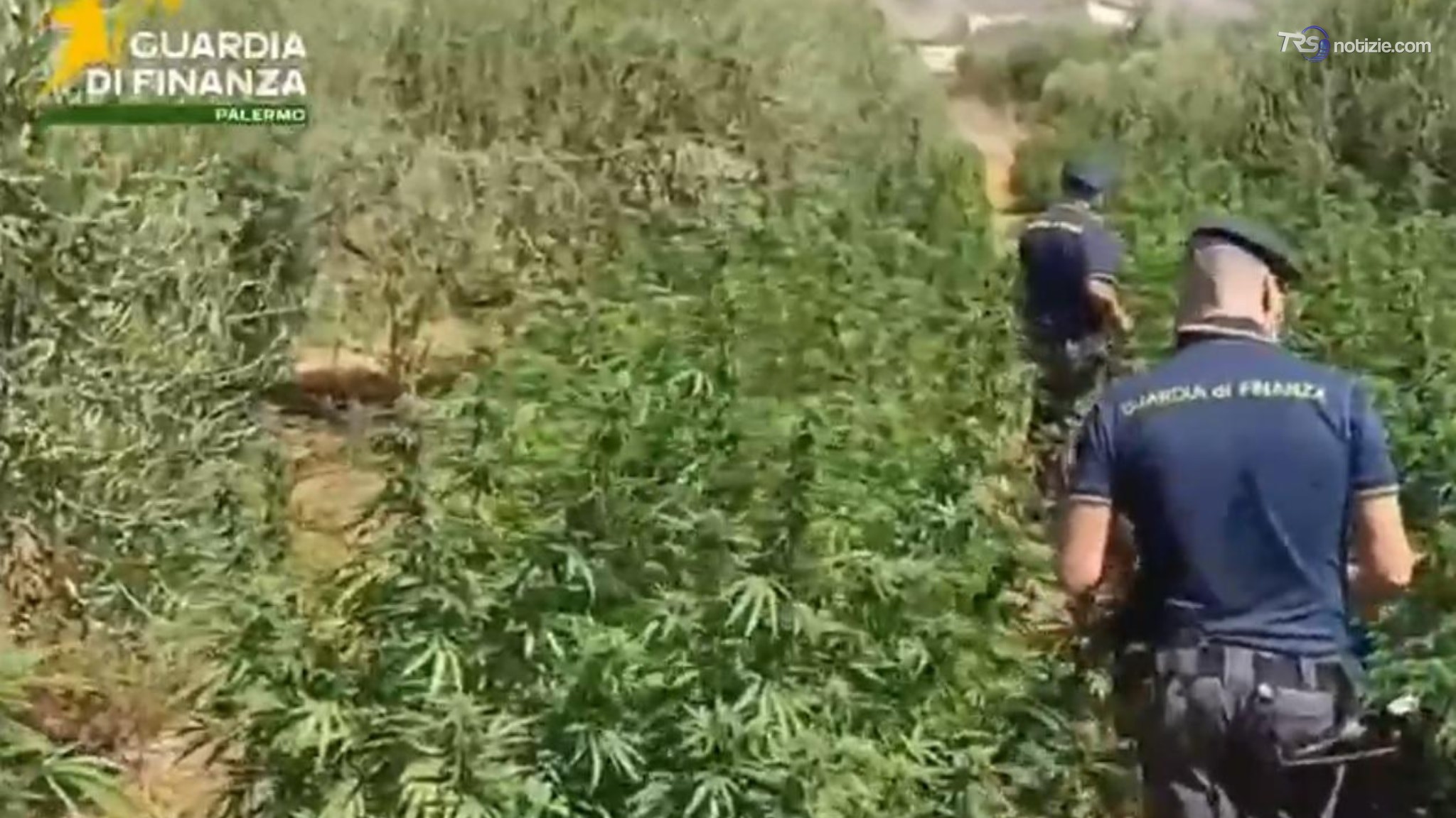Sequestrati 400 kg di marijuana per un valore di oltre 2 milioni di euro
