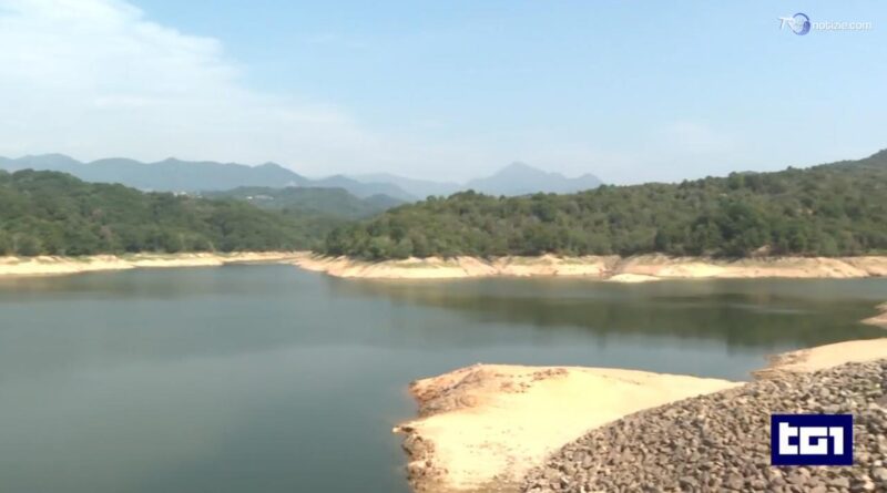 Aumentano le temperature: gli effetti della siccità e del grande caldo