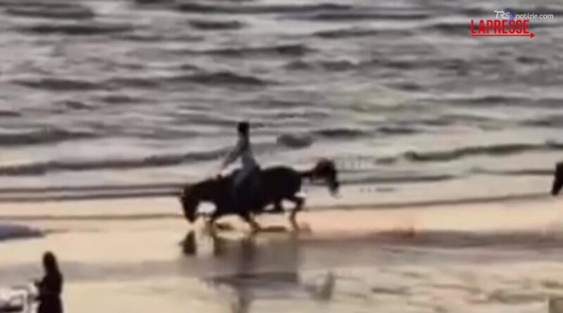 Belen cade da cavallo sulla spiaggia e pubblica il video: «Regola numero 1. Rialzarsi sempre»