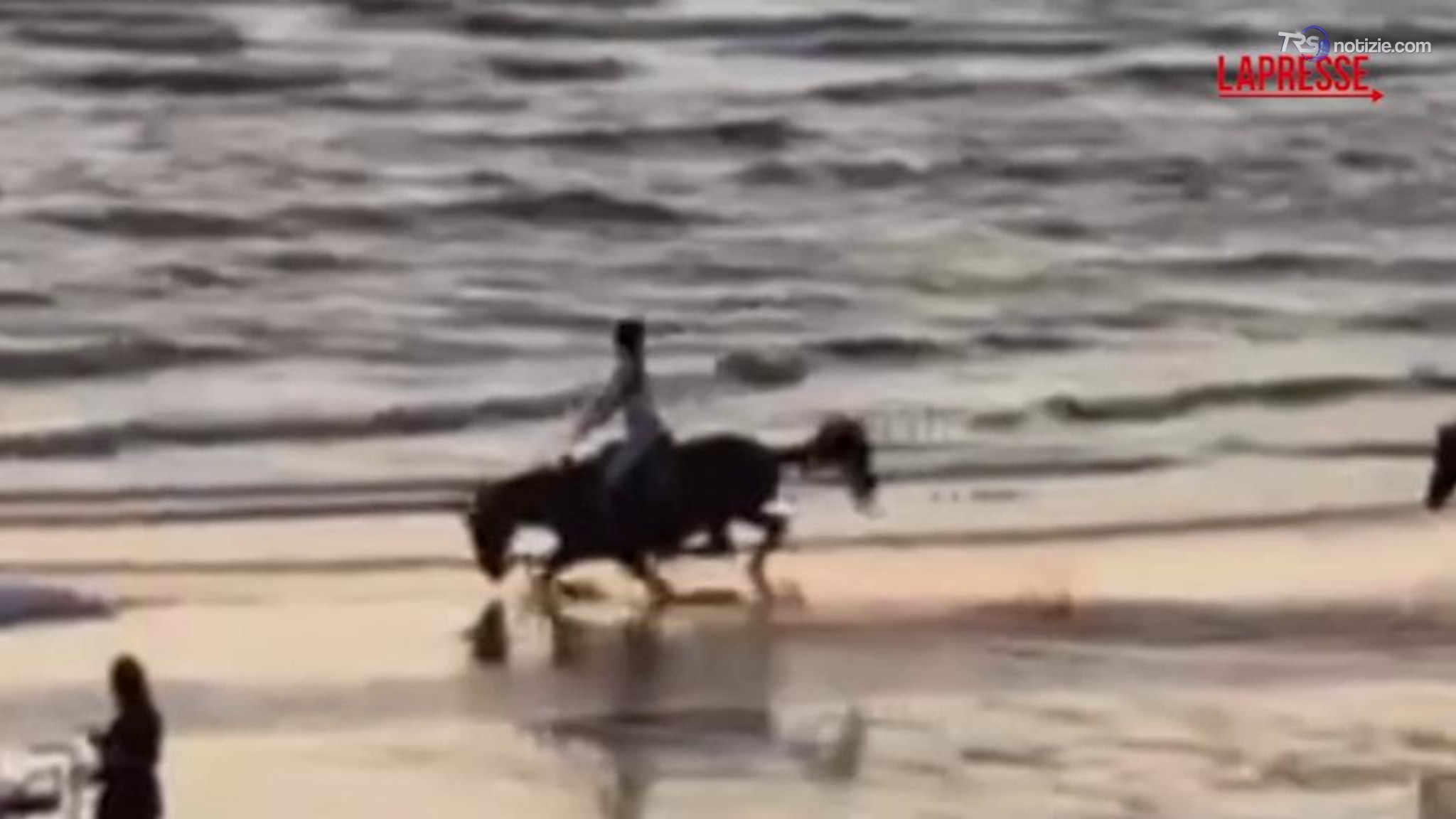 Belen cade da cavallo sulla spiaggia e pubblica il video: «Regola numero 1. Rialzarsi sempre»