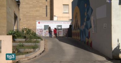 Il caso della bambina di 4 anni morta per difterite: "Scompenso multiorgano"