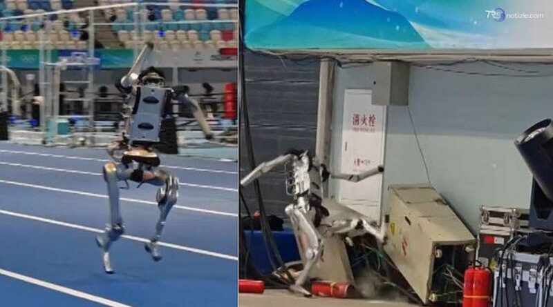 Robot corre impazzito ai Giochi di Pechino: sbanda poi finisce fuori pista
