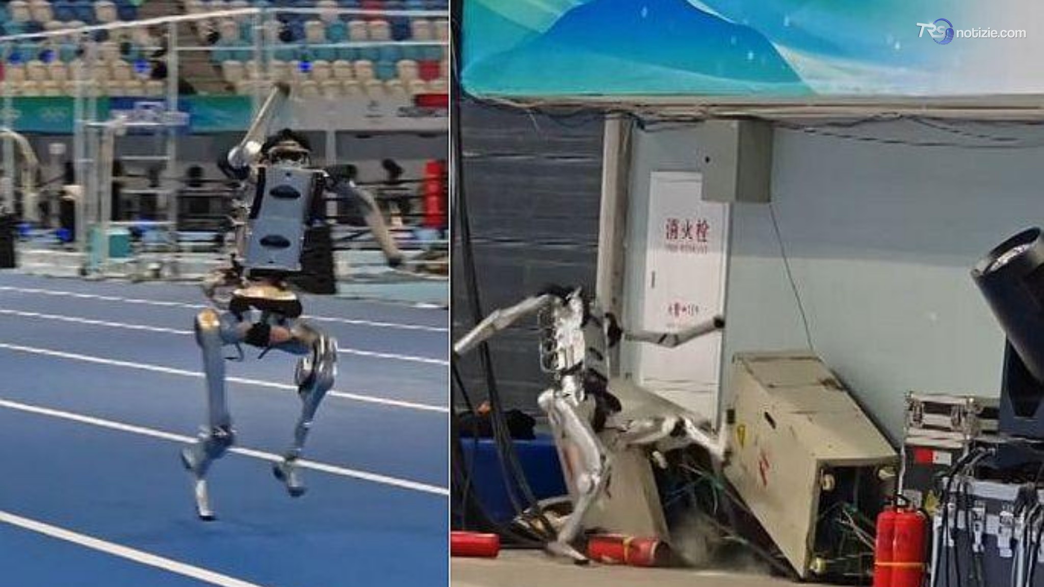 Robot corre impazzito ai Giochi di Pechino: sbanda poi finisce fuori pista