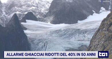 Ghiacciai italiani in sofferenza: la loro superficie ridotta del 40% in 50 anni