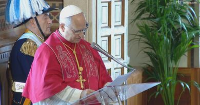 Papa: manca libertà senza dignità umana
