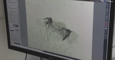 West Nile, terzo caso in Abruzzo: si tratta di una 67enne ricoverata a Chieti