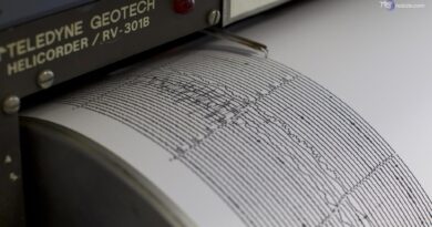 Giappone, sisma 5,9 vicino Tokyo: almeno 12 feriti. Nessun rischio tsunami