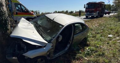 Auto contro un albero a Basiliano: muore una bimba di 11 anni, gravissima la sorellina