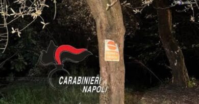 Droga dentro l'ulivo, poi le indicazioni via whatsapp: arrestato pusher a Massa Lubrense
