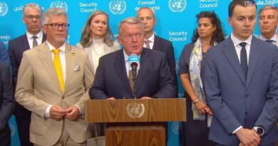 Oltre 50 paesi delle Nazioni Unite esortano la Russia ad accettare un cessate il fuoco incondizionat