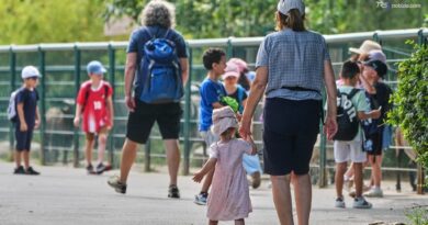 Caldo in Germania, oltre 15.800 morti dall’inizio del 2026. E' record
