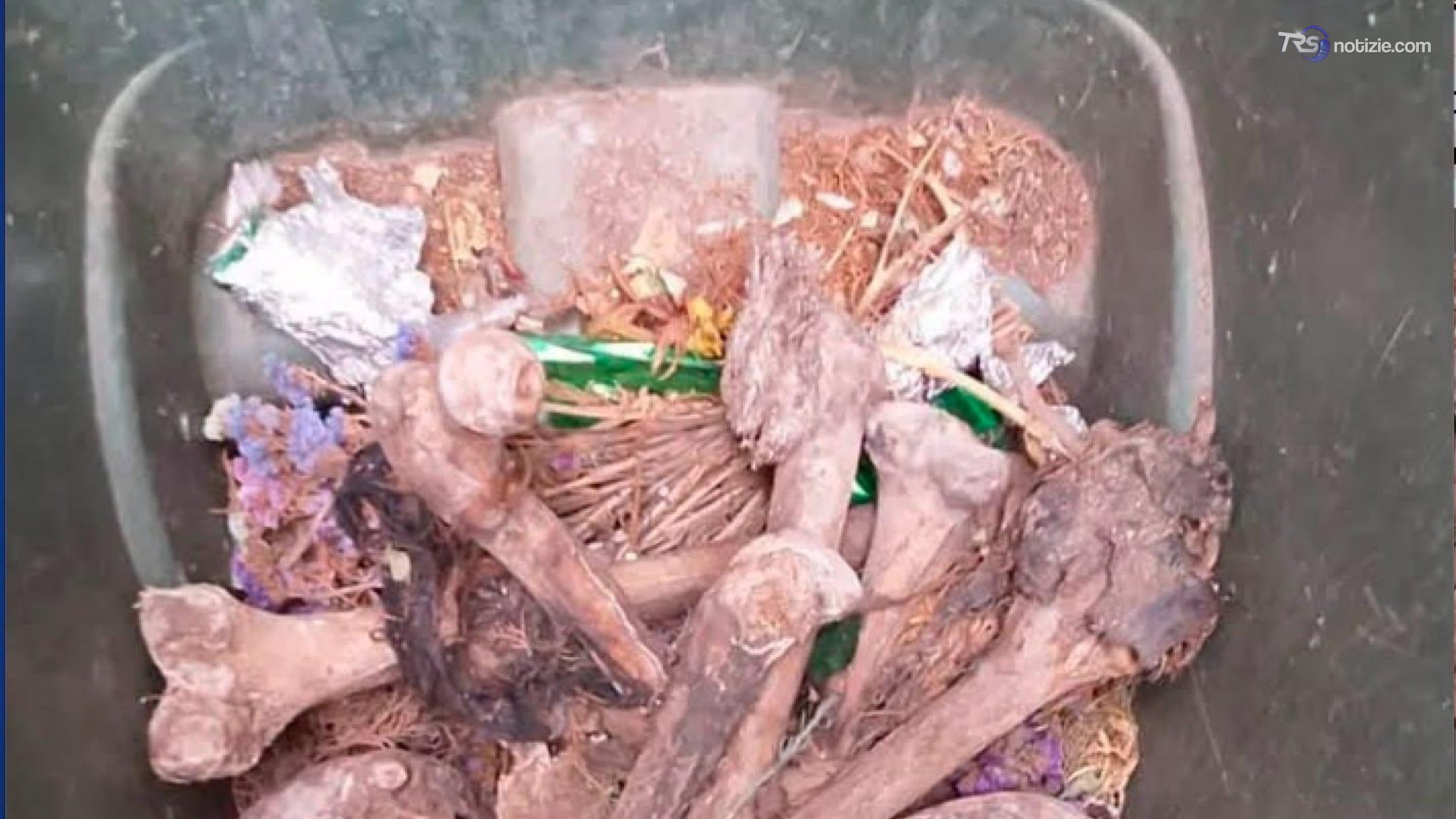Marsala, resti umani trovati al cimitero in un bidone della spazzatura