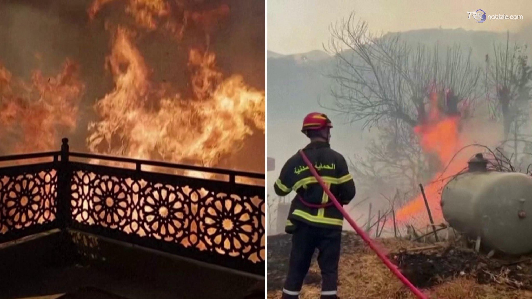 Algeria, decine di morti per gli incendi alimentati da un forte scirocco che devastano il Nord-Est