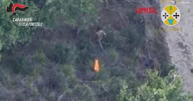 Vibo Valentia, scoperto dal drone mentre appicca il fuoco nel bosco: arrestato
