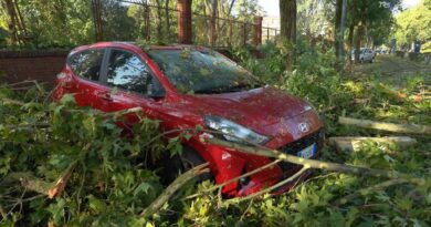 Cremona, il giorno dopo la tromba d'aria: "Un disastro"