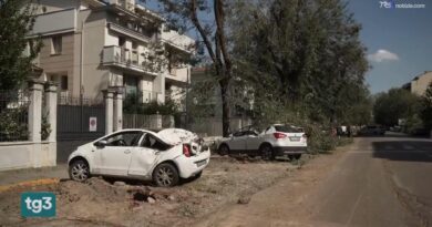 Violento maltempo a Cremona: il bilancio dei danni tra centro e campagne