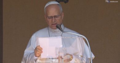 Papa: stop violenze Haiti, ostaggi liberi