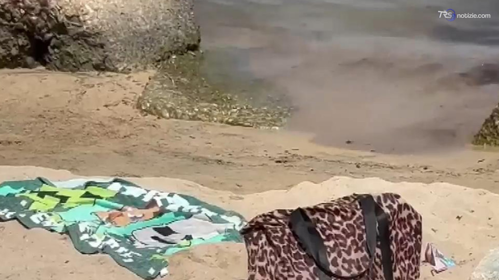 In chat le foto dei borseggiatori sulle spiagge di Bari: ecco la tecnica messa a punto per i furti