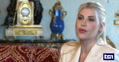Barbara Berlusconi: teoremi senza prove