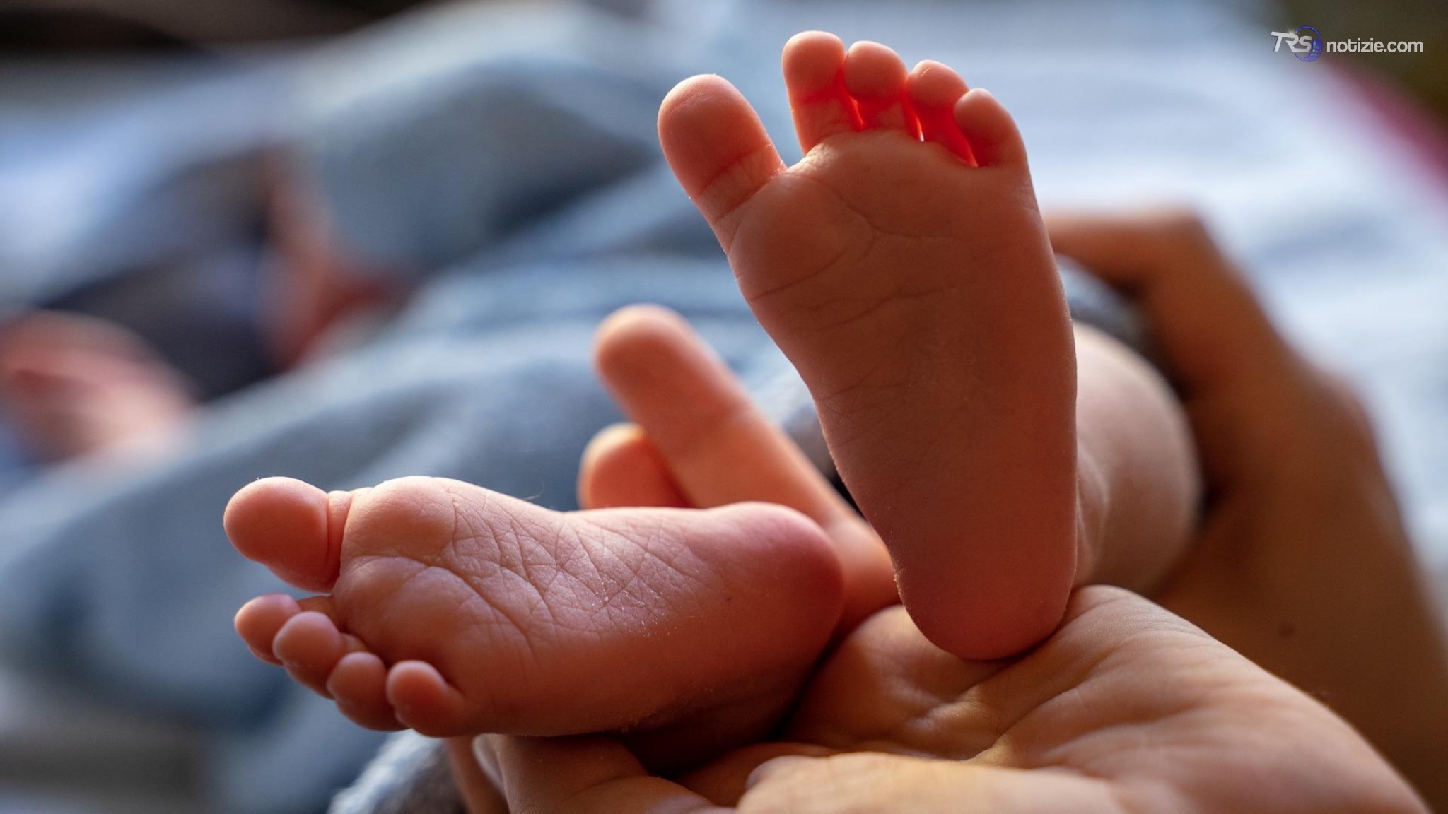 Giappone, oltre il 30% dei single non vuole avere figli