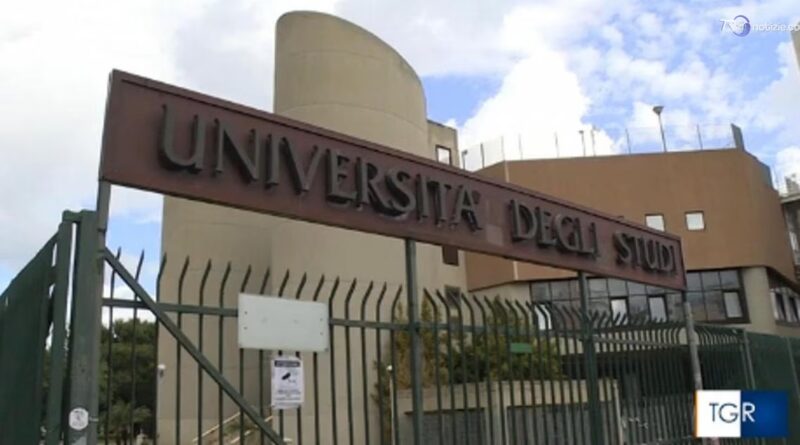 Università e lavoro più connessi