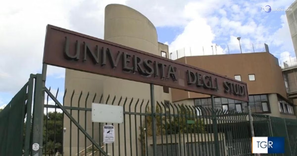 Università e lavoro più connessi